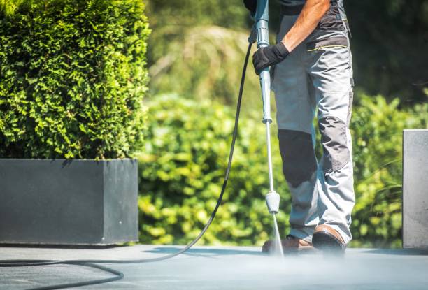 Best Pre-Holiday Cleaning  in Zebulon, GA