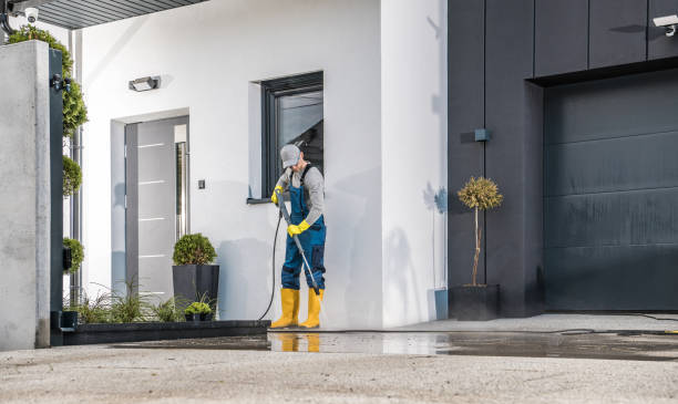 Best Spring Cleaning  in Zebulon, GA